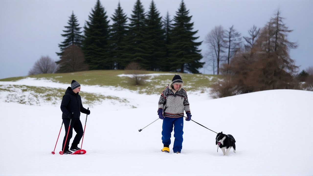 Met Office Warns of 10-Day Arctic Blast Bringing Snow and -12°C Temperatures Across UK